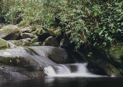 森林中长时间的溪流高清图片