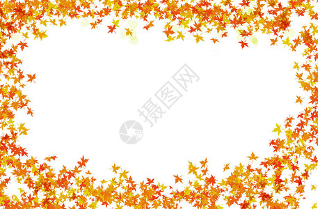 秋叶的节日明亮框架和白色底座的透明花瓣框架图片