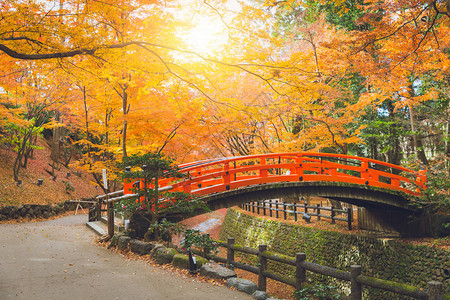 红桥在日本的山坡图片