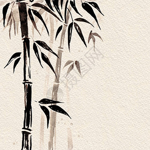 日本风格的竹子水彩手绘插画图片