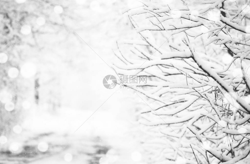 白雪皑的冰冻冬季道路雪地上的轮胎痕迹雨夹雪后的森林单色冬季森林景观冬天在乡图片