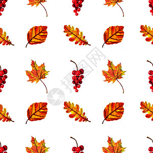 橙色红色棕色和黄色的秋季浆果和叶子的无缝图案非常适合壁纸礼品纸图案填充织物和印花网背景图片
