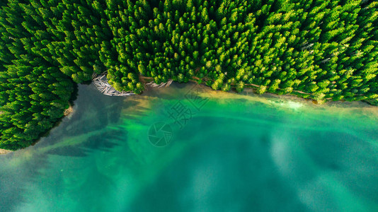 黑山黑湖晴朗夏日的蓝湖和绿色森林鸟瞰图背景图片