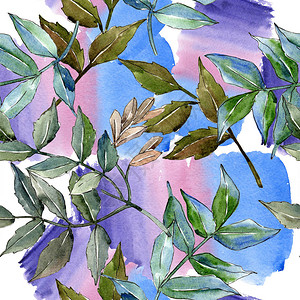 绿色的灰叶植物园花卉叶子无缝背景图案织物壁纸打印背景包装图案框架或边图片
