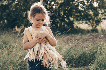小女孩秋天在玉米地里玩耍孩子拿着玉米芯和孩子们一起收割儿童秋季活动图片