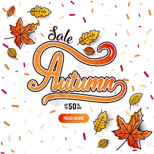 秋季销售背景布局用树叶装饰背景图片