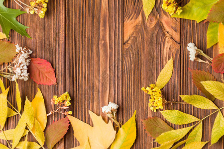 棕色木质背景上有五颜六色的树叶和干花图片