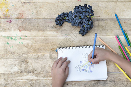 儿童绘画葡萄和彩色铅笔木制图片