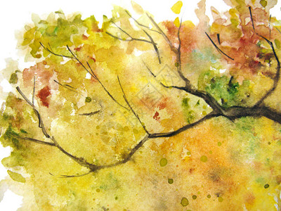 黄橙绿树叶枝纹底背景图片