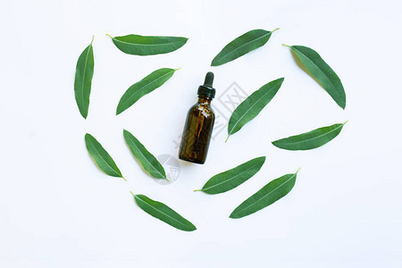 Eucalyptus油瓶图片