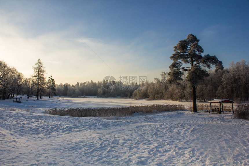 天气晴朗的冬季景观日落时的霜日光图片