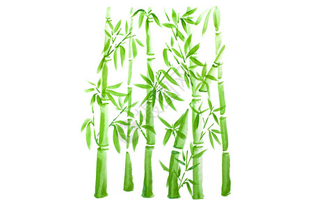 手工绘制绿竹叶和树枝墨画传统干纸笔刷绘画白底图片