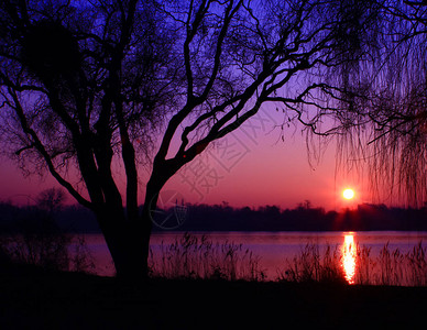 在美丽的天空和乡村风景中的太阳星形湖上粉色和蓝色日落图片