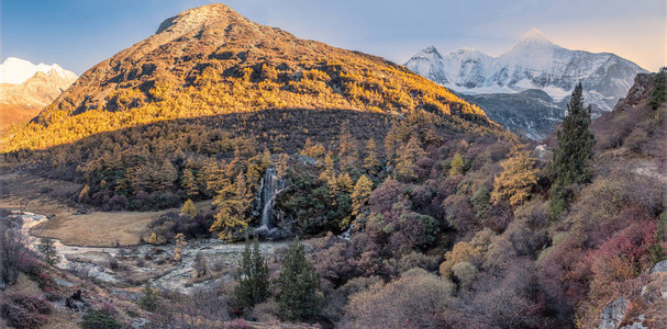 Yading自然保护区圣山的金松林谷全景图片