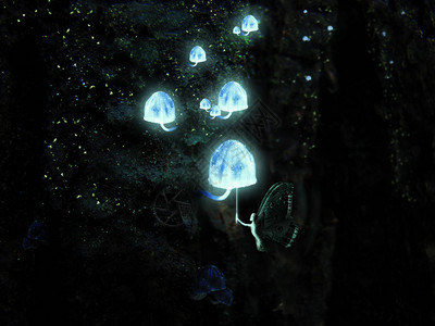 神奇仙女精灵灯泡蘑菇在树图片