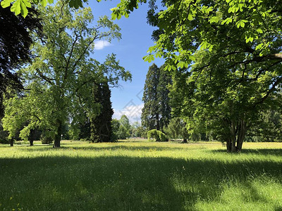 克罗伊茨林根的公园和植物园Seeburgpark高清图片