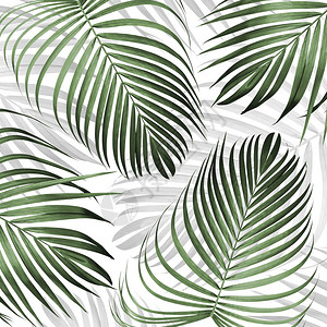热带树叶图案背景布图片