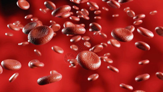 流动血红蛋白细胞静图片