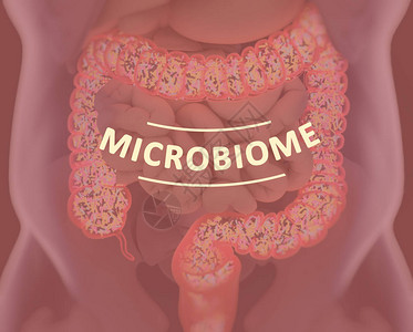 肠道细菌背景图片
