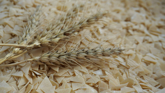 面包制品小麦手工面条图片