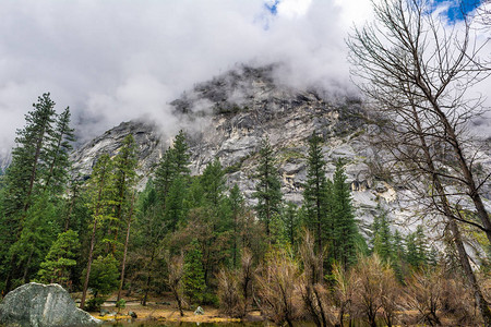 美国加利福尼亚州Yosemite公园景观自图片