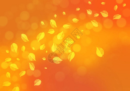 秋叶横幅插图橙色和黄色落叶图片