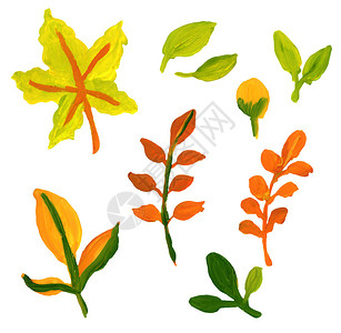 秋季黄色绿橙红叶子集合水粉画图片