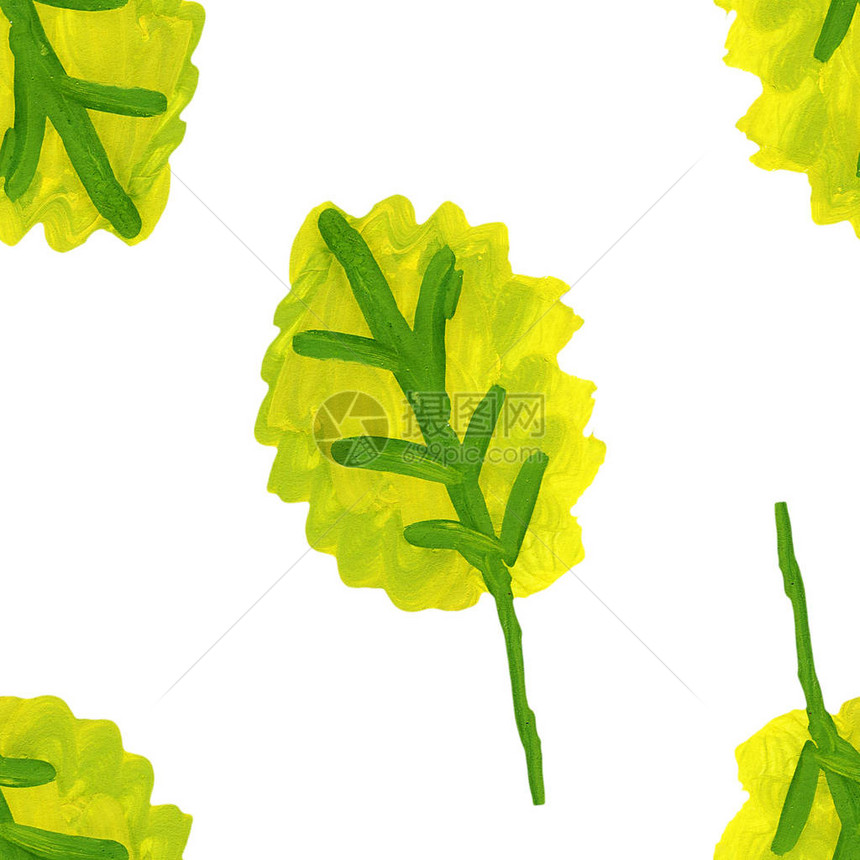 夏季绿色橡树叶花岗绘图片