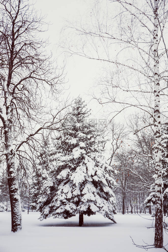 下雪天城市公园的冬季景观图片