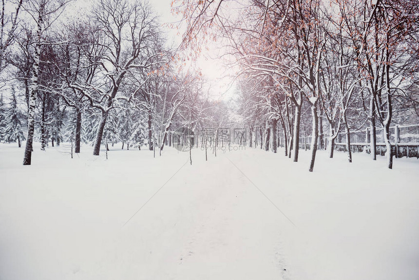 下雪天城市公园的冬季景观图片