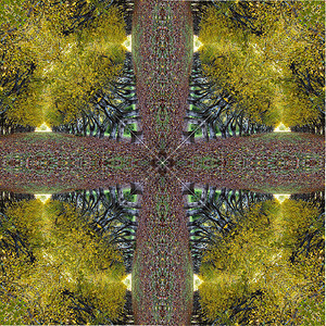 背景抽象的图案抽象万花筒背景改变了秋天森林的万花筒图像图片