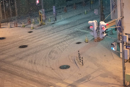 千岁兰在日本Chitose市冬季夜间大雪倒塌背景