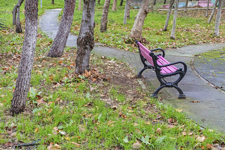 秋季公园的彩色长凳图片