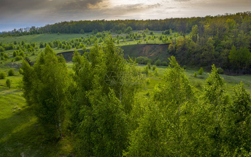 越过森林和沟壑前景中的桦树在背景光中近距离拍摄图片