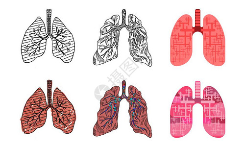 以不同的绘画风格选择人类肺图片