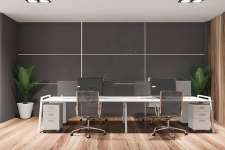 时尚的未来派办公室内部设有灰色和木墙木地板白色电脑桌和盆栽植物图片