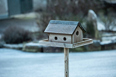 在寒冷寒冷的日子里木制鸟屋图片