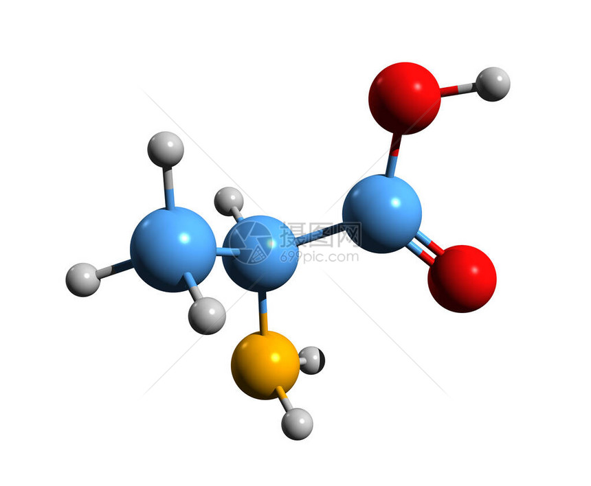 丙氨酸骨架式的3D图像白色背景下分离的2氨基丙酸的图片