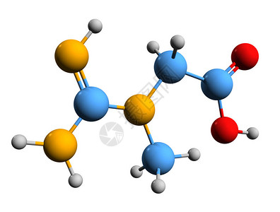 异构体3D白底孤立的甲基guanidoacetic酸分子化学结构Krieatine骨骼配背景