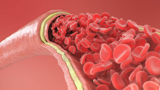 3d动脉静脉内红细胞的插图健康的动脉横截面血流科学和医学微生物学概念富含氧气背景图片