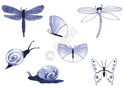 蝴蝶蜗牛鸟用白色背景绘制的画图片