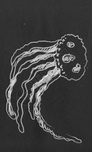 Jellifish用黑色背景图片