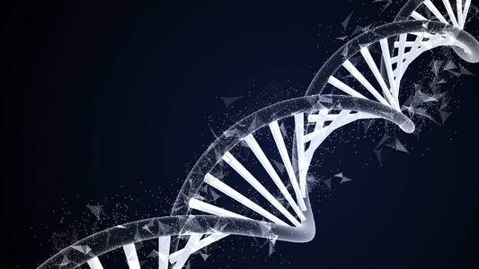 DNA结构脱氧核糖酸用于医学科RNA研究和生物学遗传分子实验室研究图片
