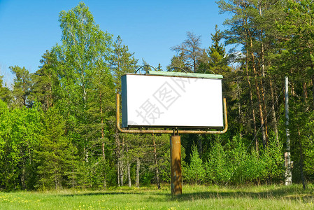 绿色森林背景上的白色广告牌适合做广告空白广告牌和户外广告森林外的图片