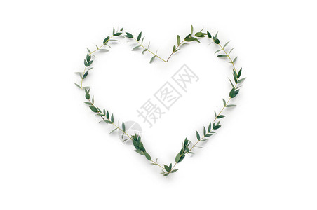 绿色的叶子在白色背景上的心脏形状背景图片