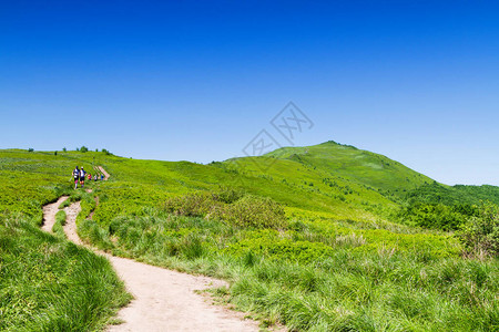 山景Bieszczady公园草原和森林全景喀尔巴阡山脉景观图片