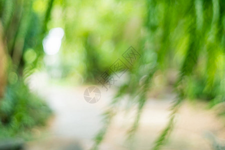 Blurnaturebokeh绿色花园图片