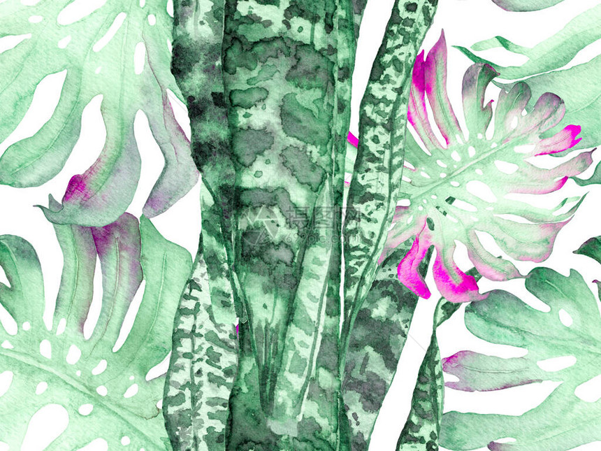 夏季花卉背景植物森林插图异国情调的泳装设计夏威夷水彩画复古生态报告水彩叶无缝图案图片