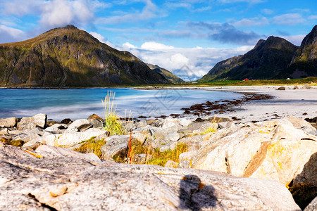挪威洛福滕群岛拉姆伯格海滩的海景观水晶绿化图片