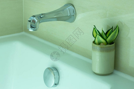 现代浴缸水龙头和浴室盆栽植物装饰图片